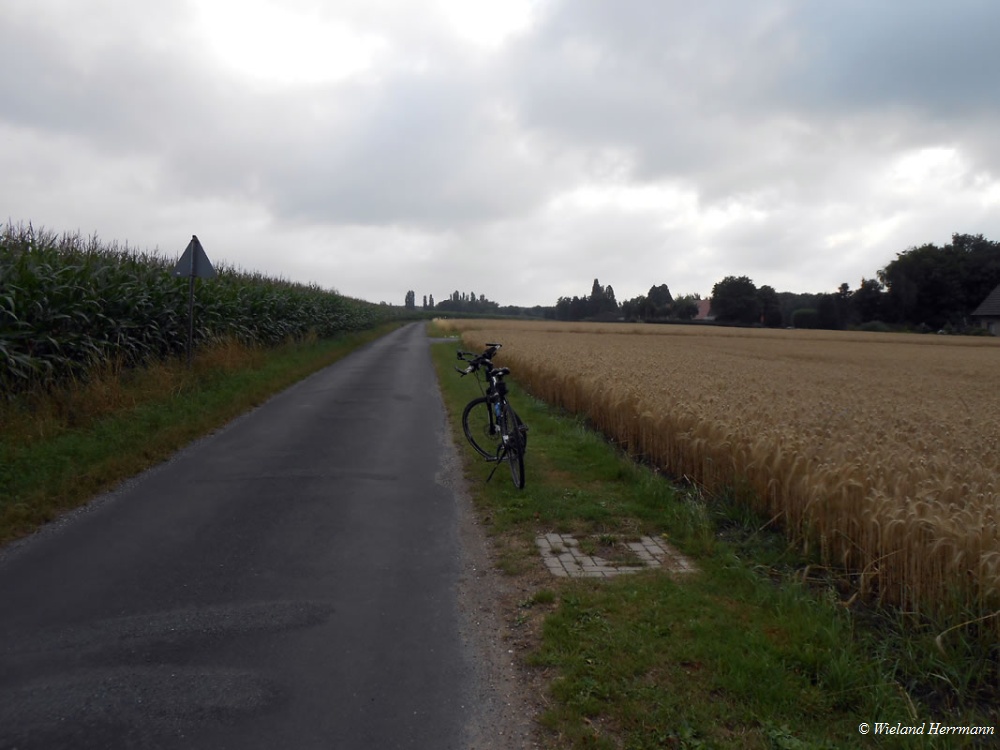 Huenxer Wald_